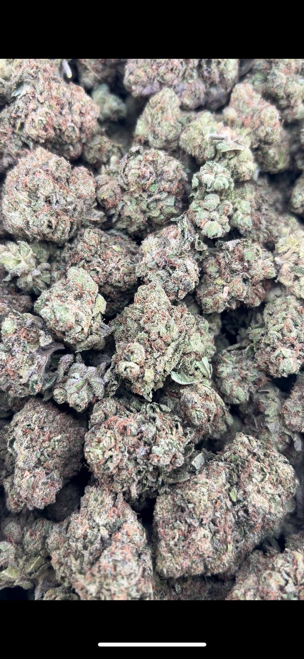PINK PANTIEZ ZUP#4542