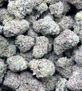HELLCAT GELATO ZUP#4554