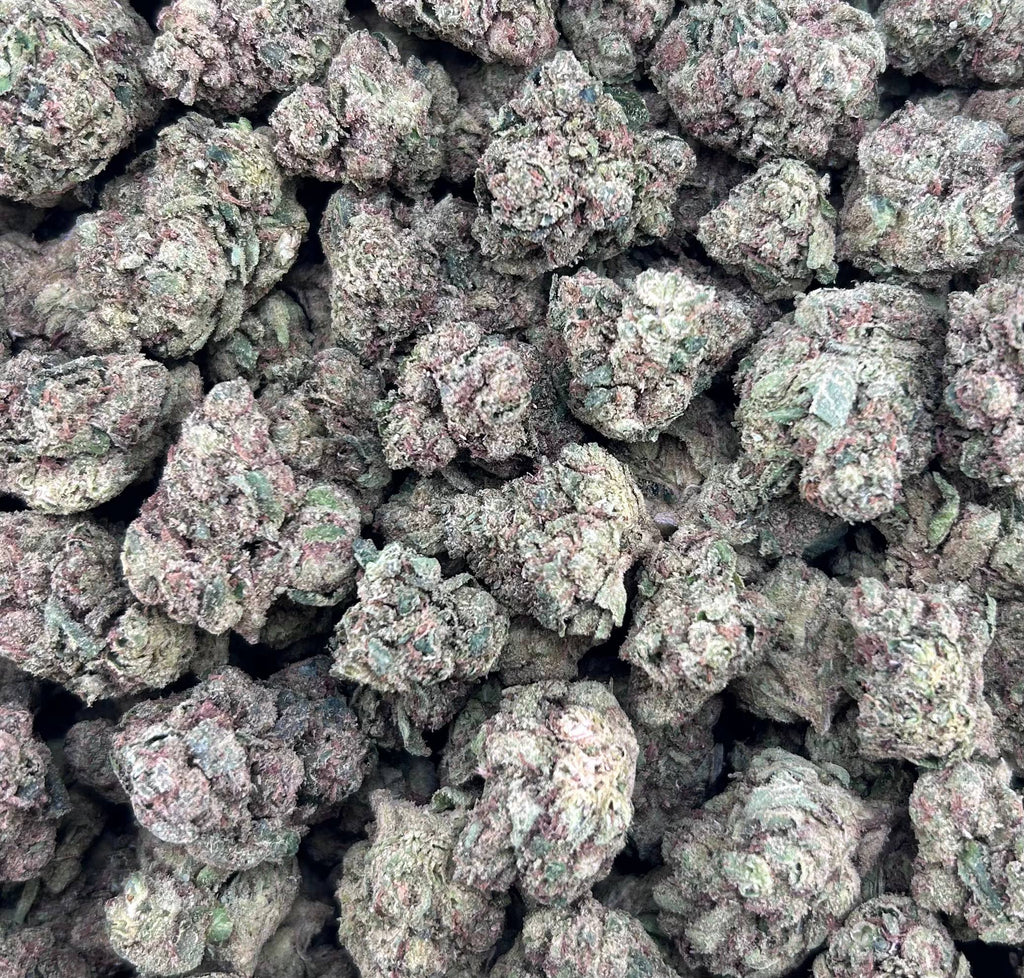 CHERRY FANTA ZUP#4558