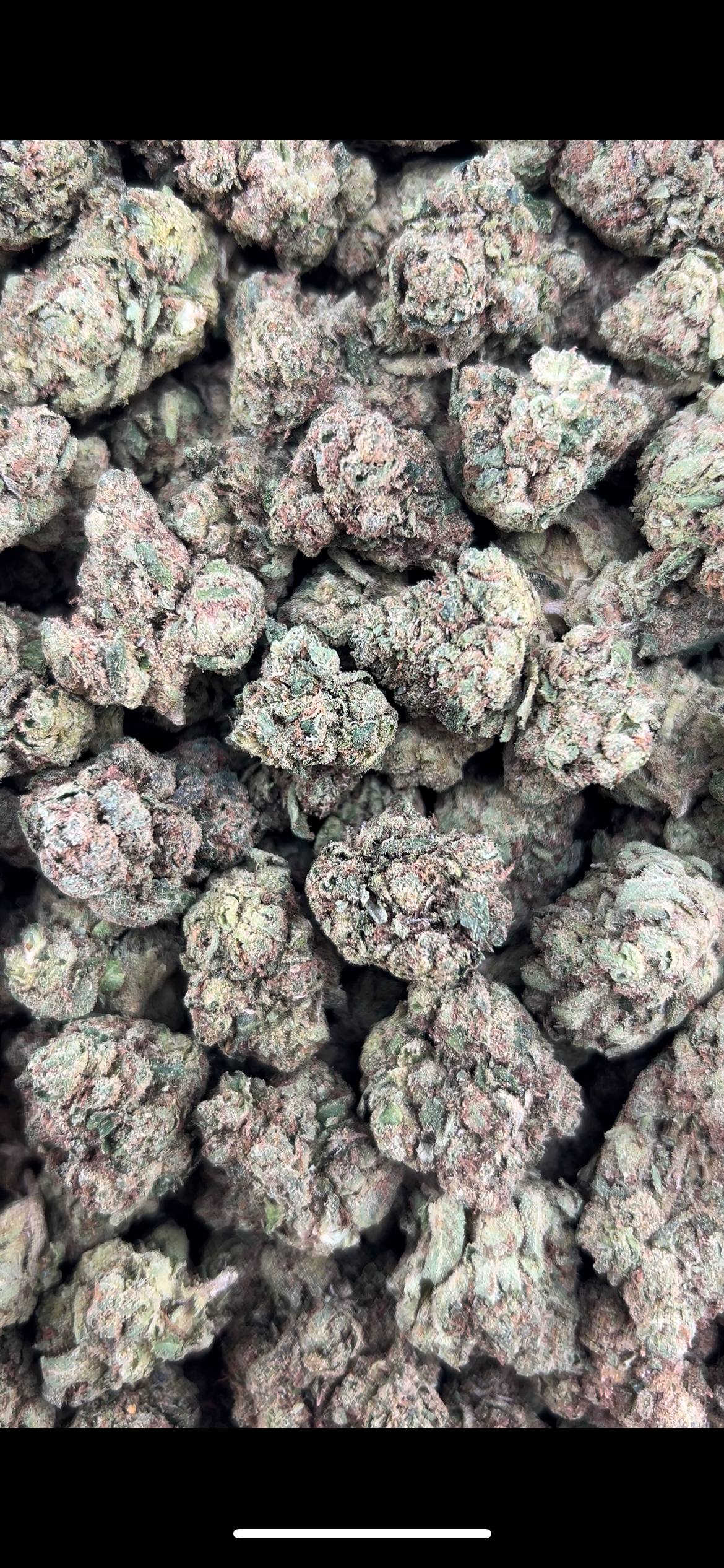 CHERRY FANTA ZUP#4558