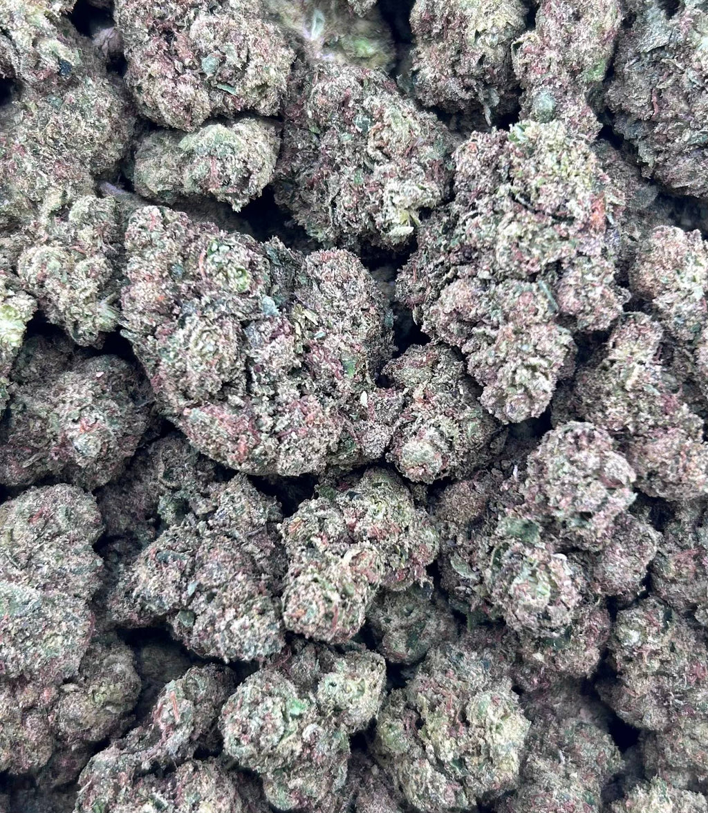 WHITE NERD GELATO ZUP#4559