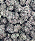 WHITE NERD GELATO ZUP#4559