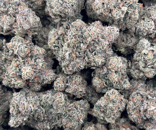 BERRYBURST #ZUP4564