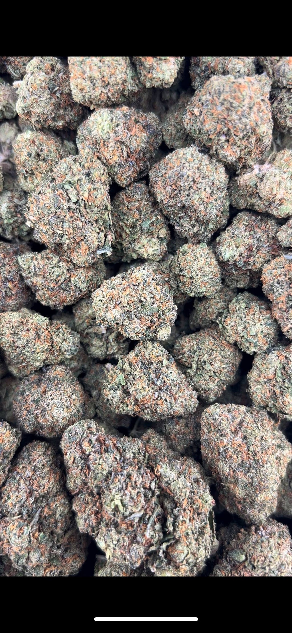 CANDYLATO #ZUP4575
