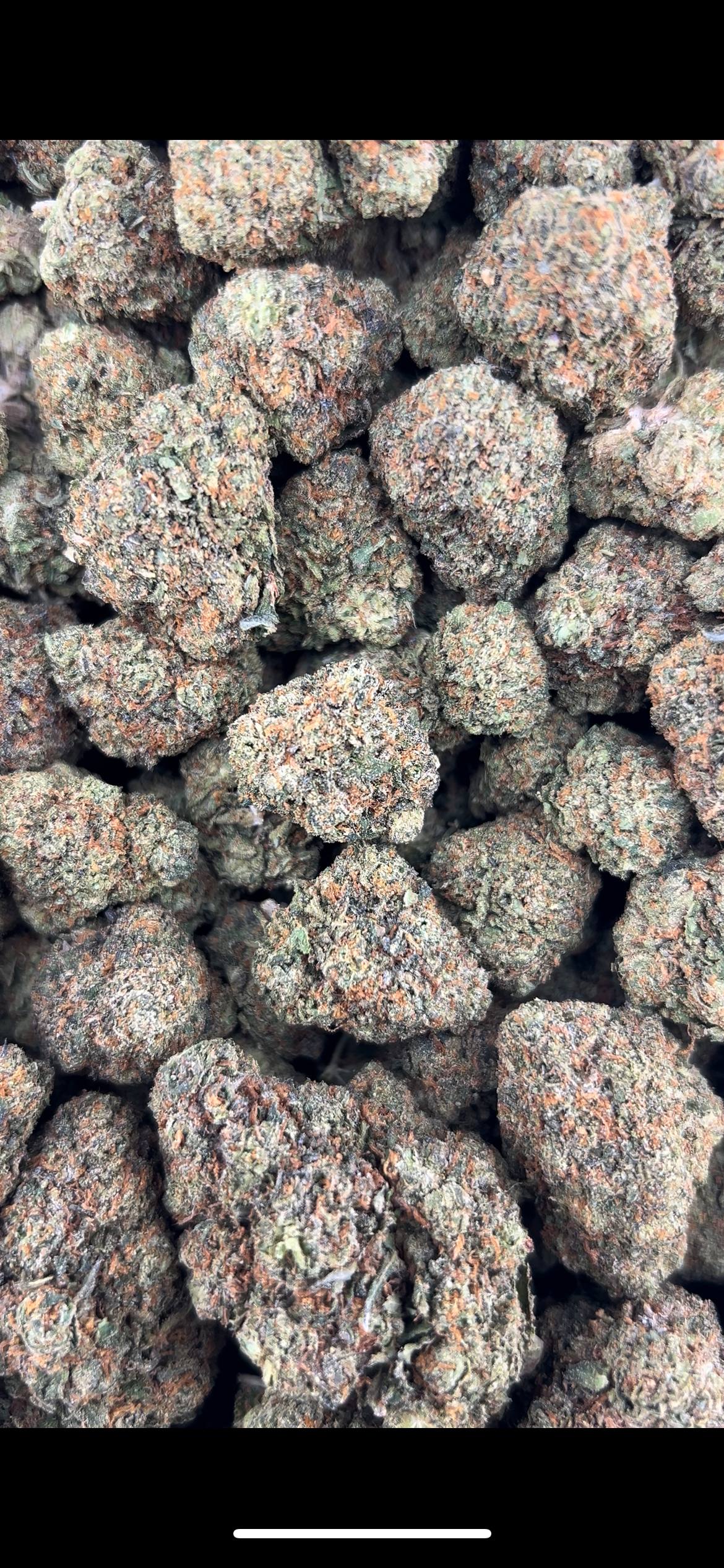 CANDYLATO #ZUP4575