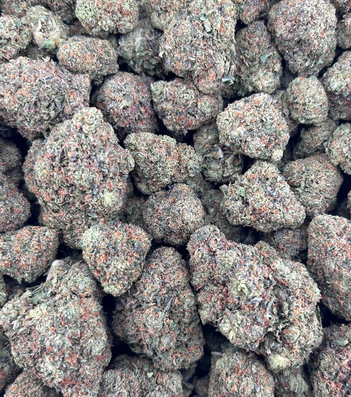 CANDYLATO #ZUP4575