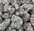 CACTUS COOLER #ZUP4581