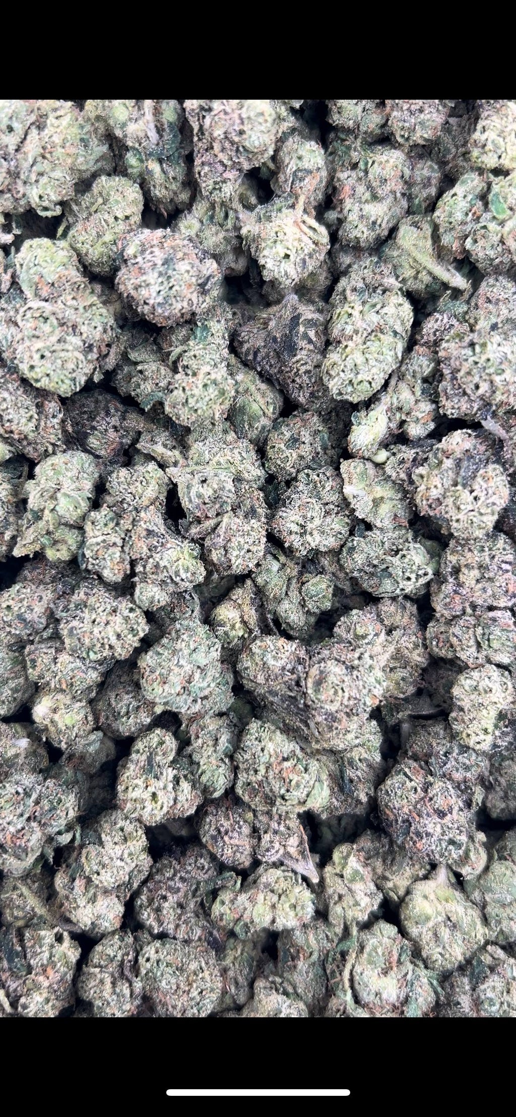 POP ROCK CANDY #ZUP4596