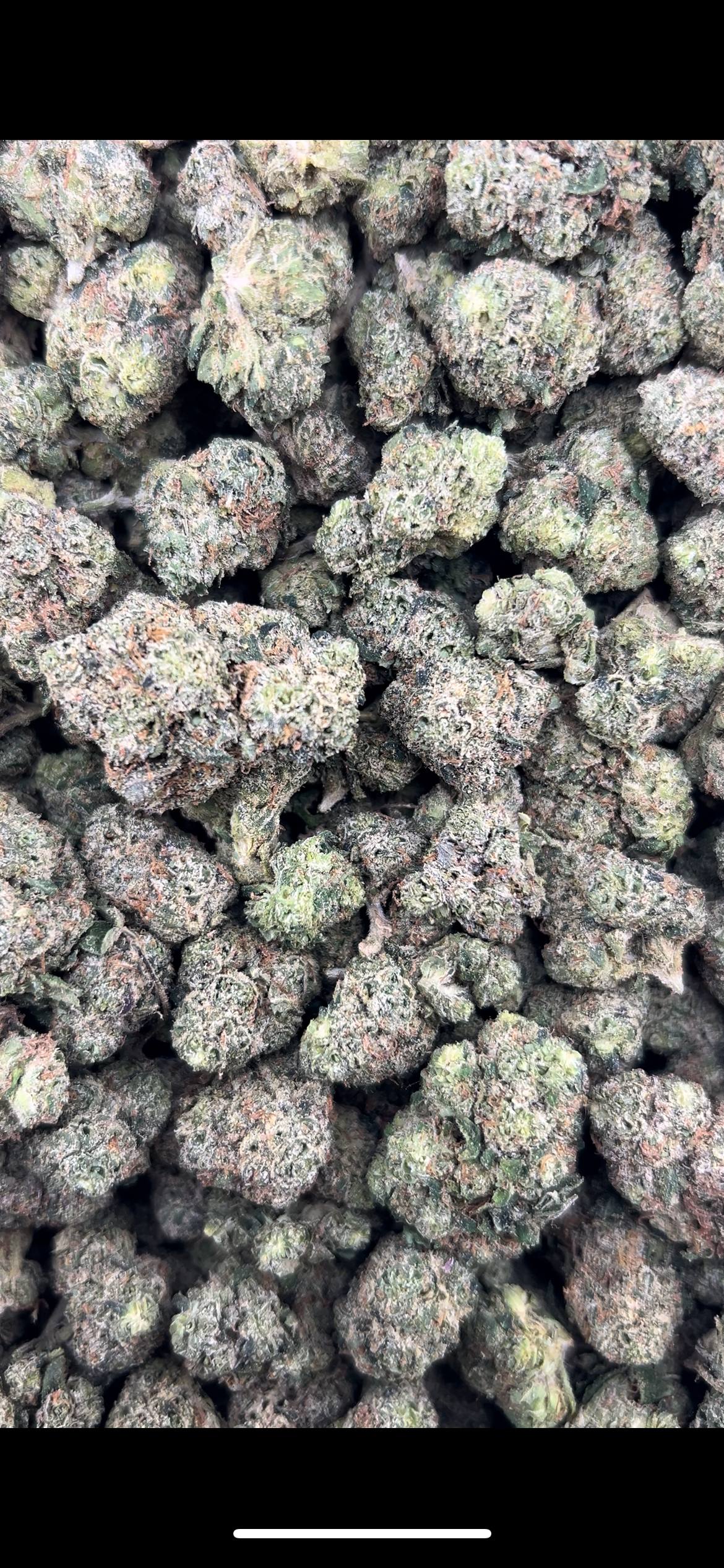 BERRY MIST #ZUP4597
