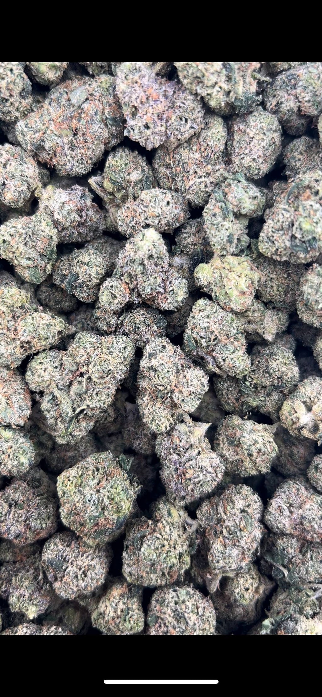 LEMON DROP #ZUP4609