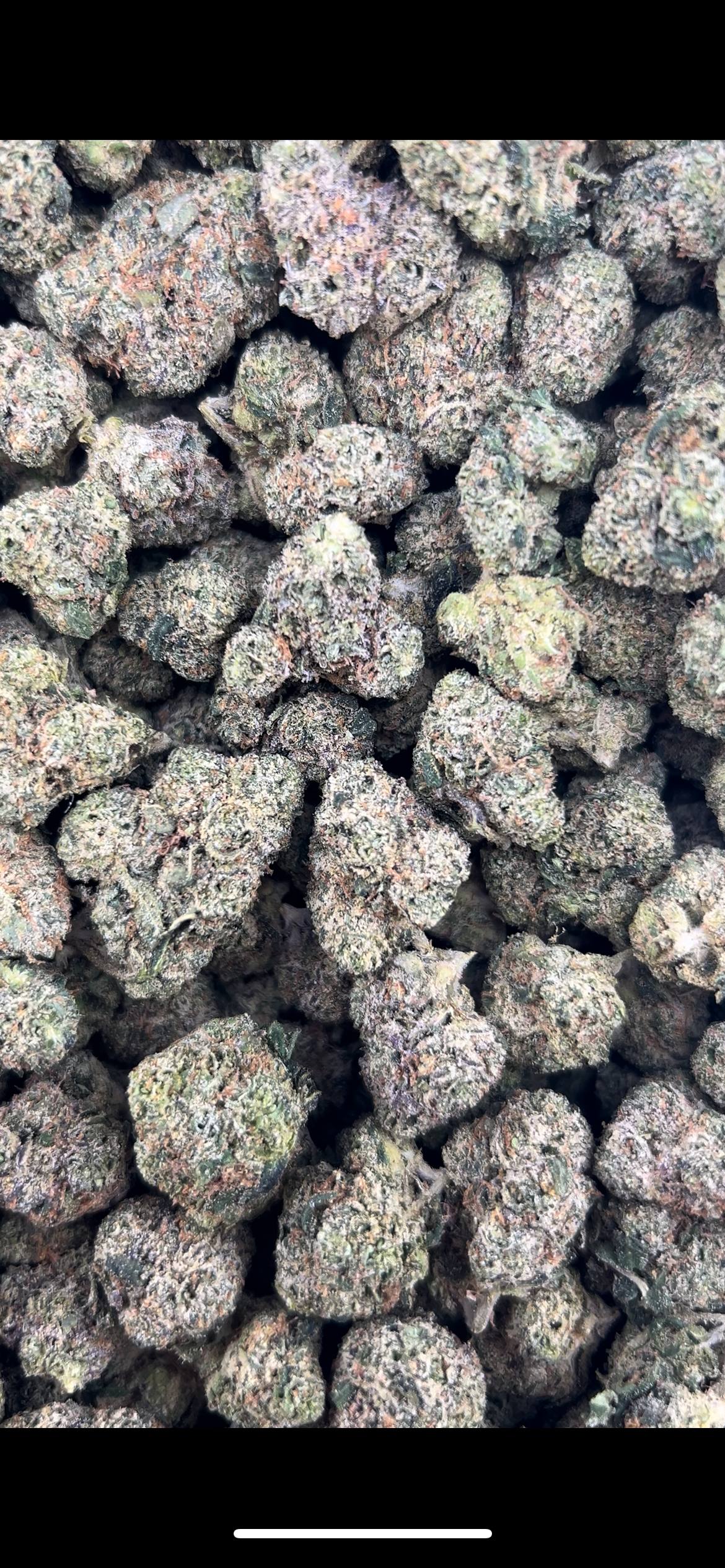 LEMON DROP #ZUP4609
