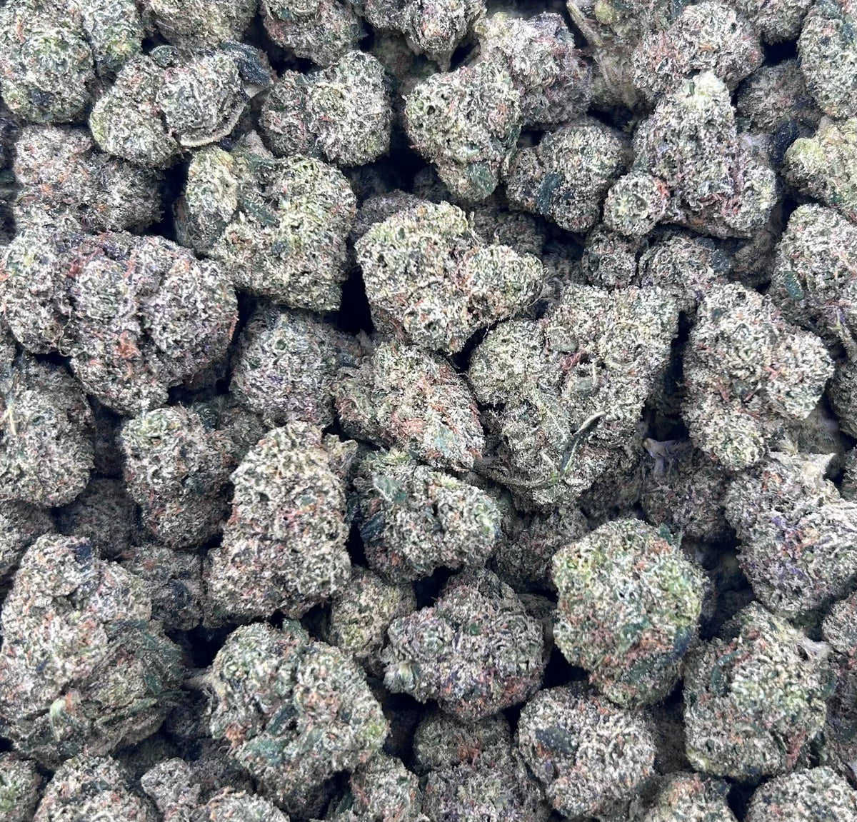 LEMON DROP #ZUP4609