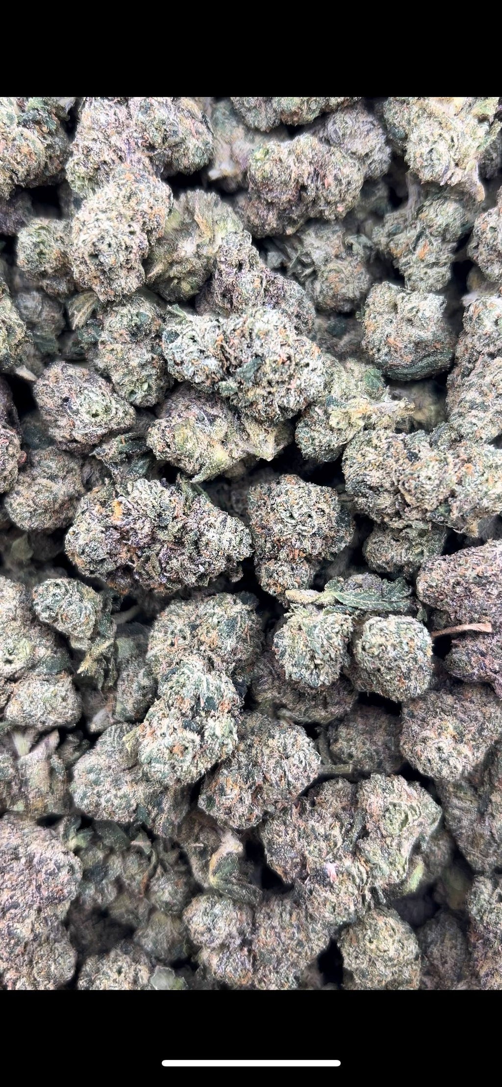 CHERRY PUNCH #ZUP4610
