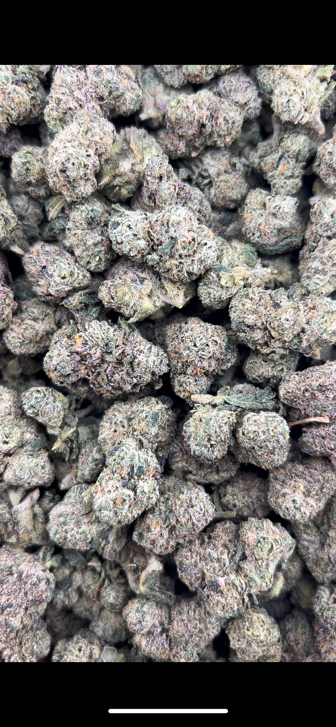 CHERRY PUNCH #ZUP4610