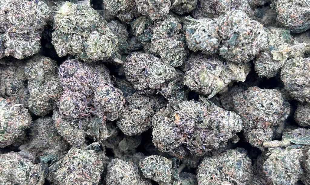 CHERRY PUNCH #ZUP4610