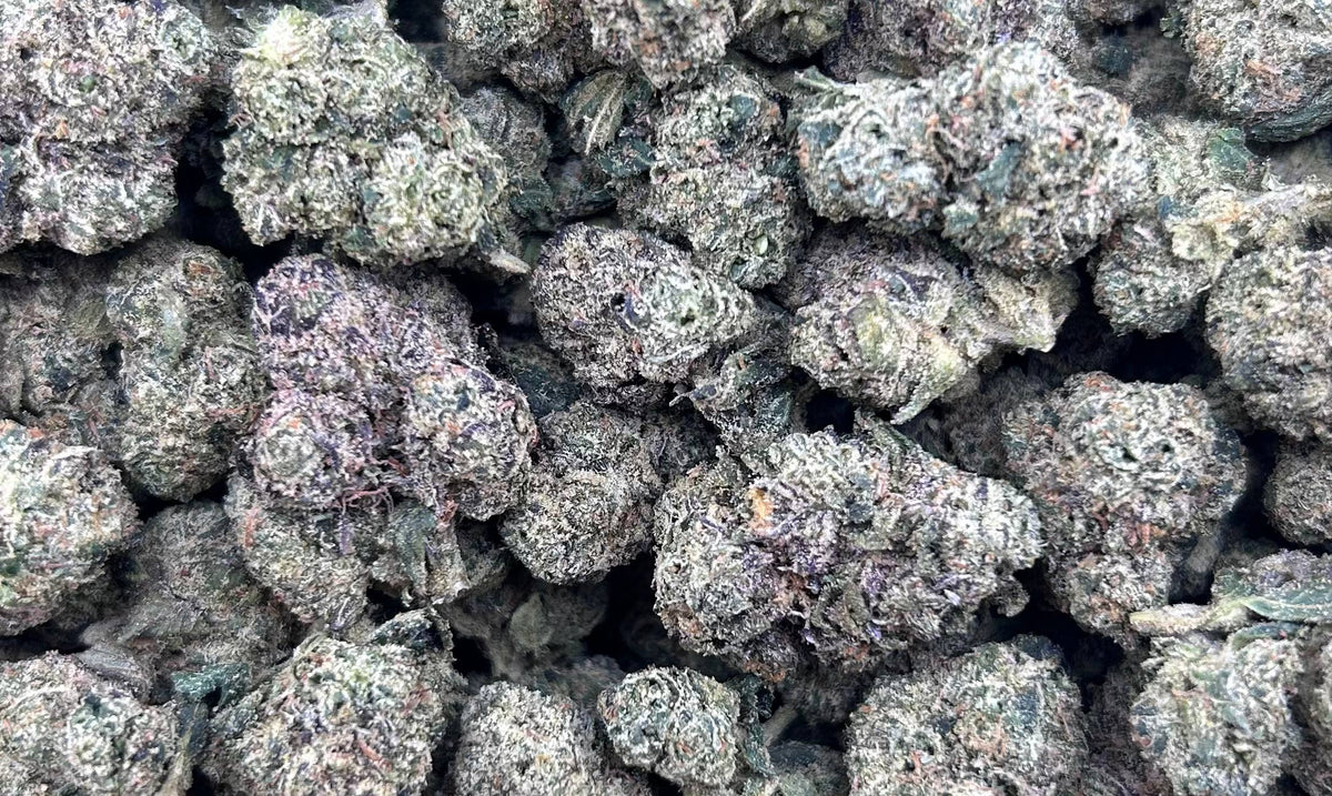 CHERRY PUNCH #ZUP4610