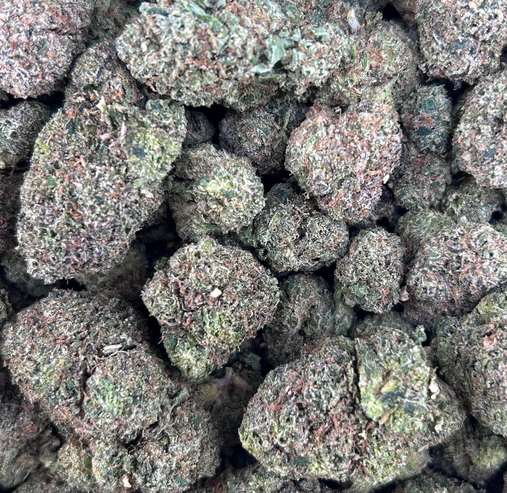 ZOUR TARTS #ZUP4612