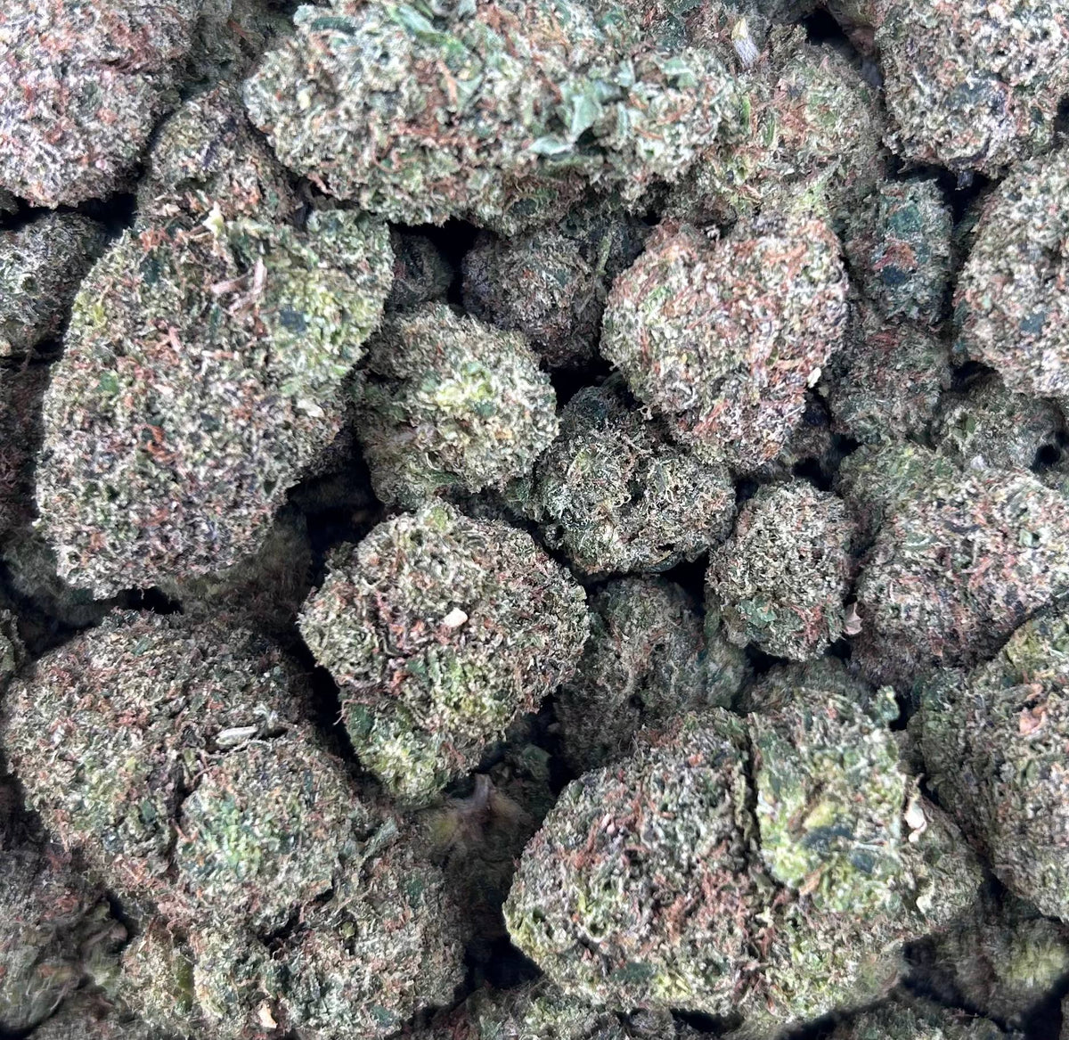 ZOUR TARTS #ZUP4612
