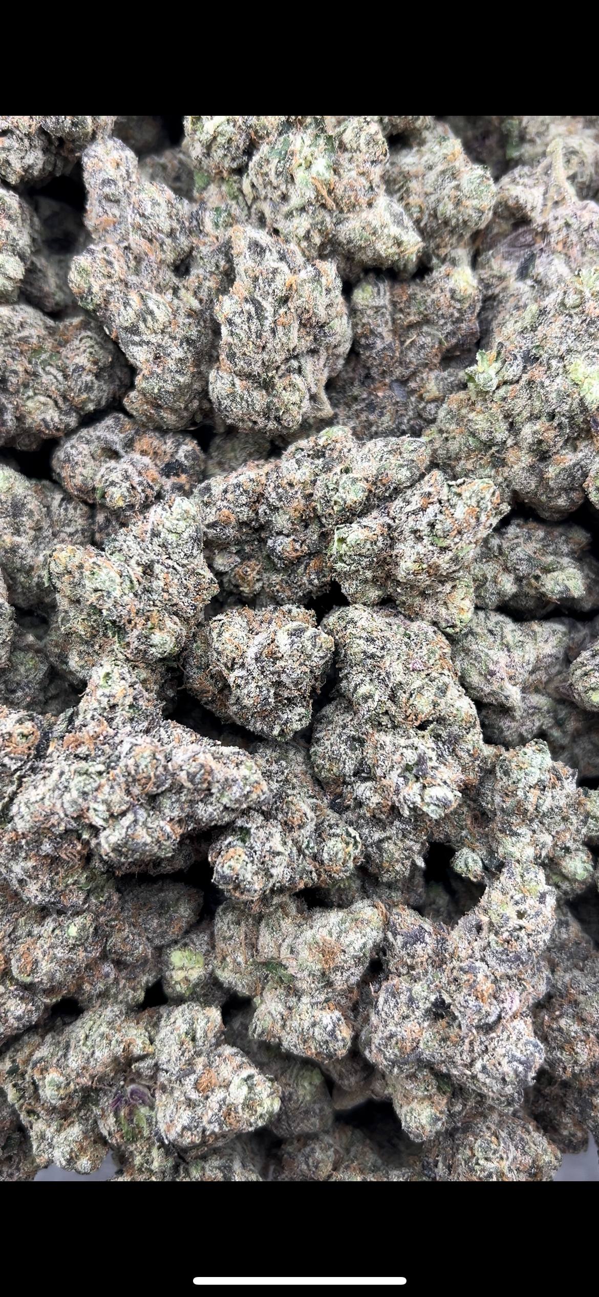 CANDY VELVET #ZUP4703