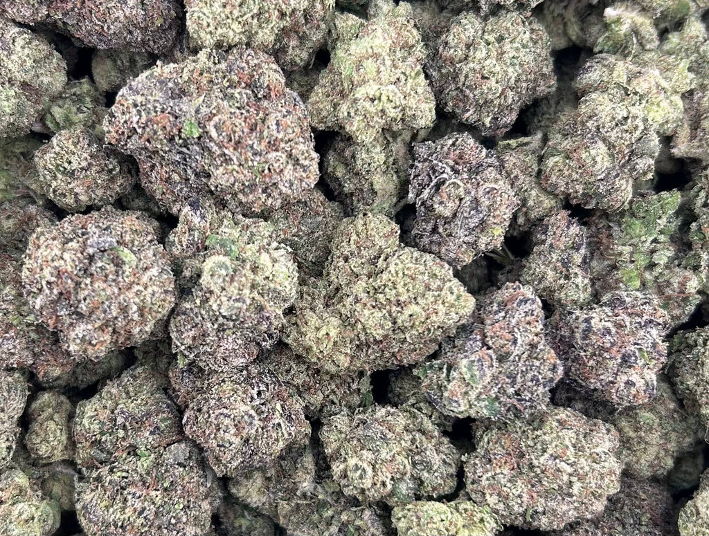 BLUEBERRY JELLY #ZUP4638