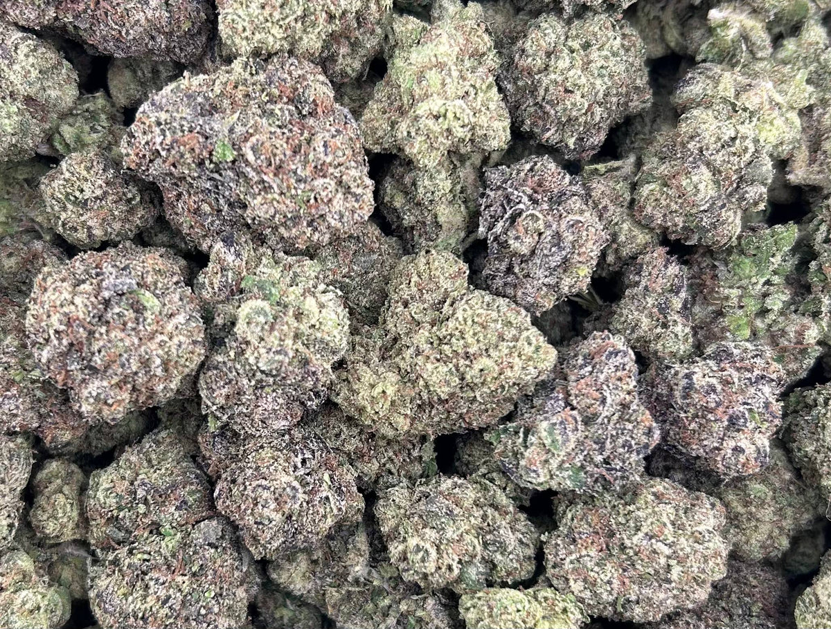BLUEBERRY JELLY #ZUP4638