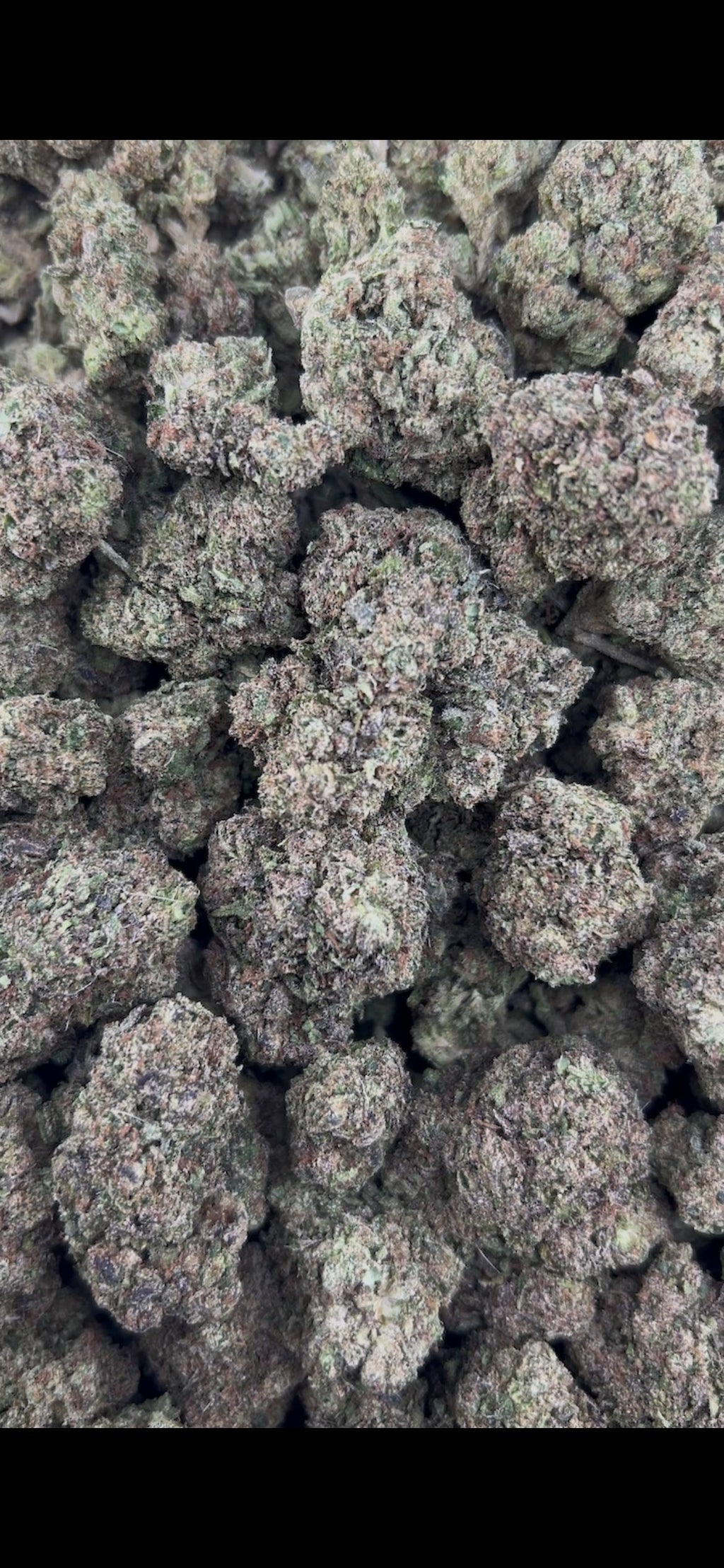 BLUE RAZZ CANDY #ZUP4639