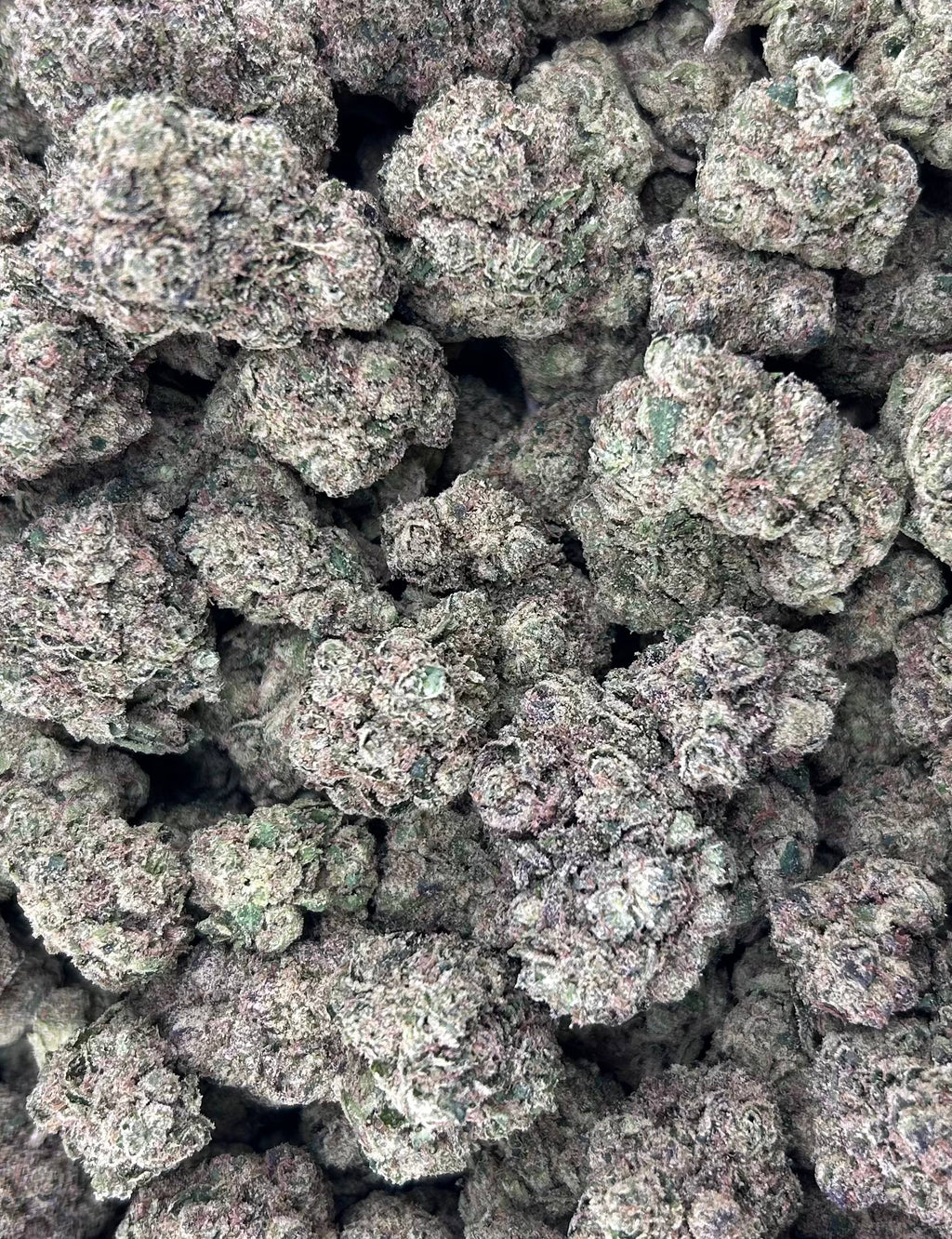 ZKITTLE CANDY #ZUP4640
