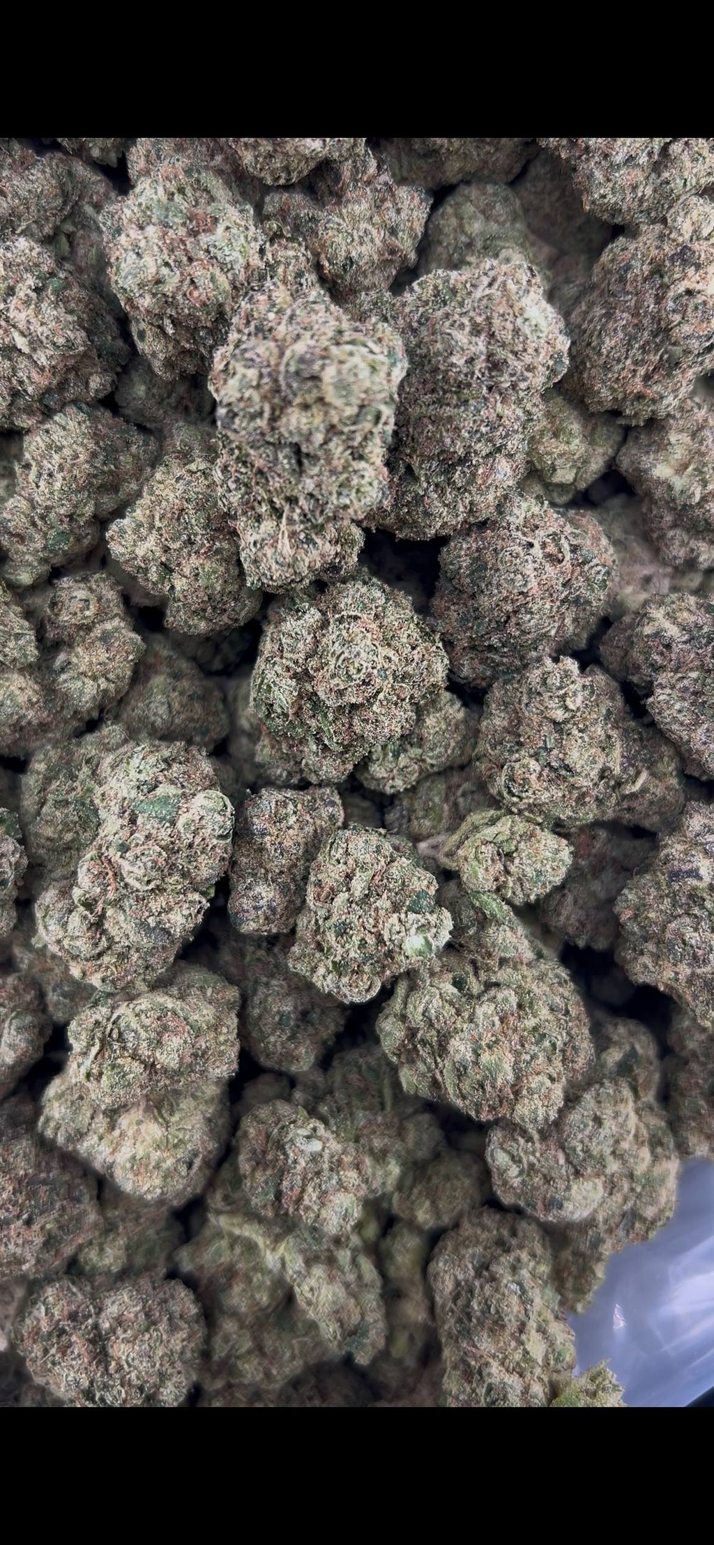 ZKITTLE CANDY #ZUP4640
