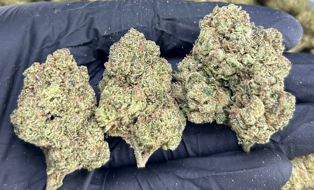 ZKITTLE CANDY #ZUP4640