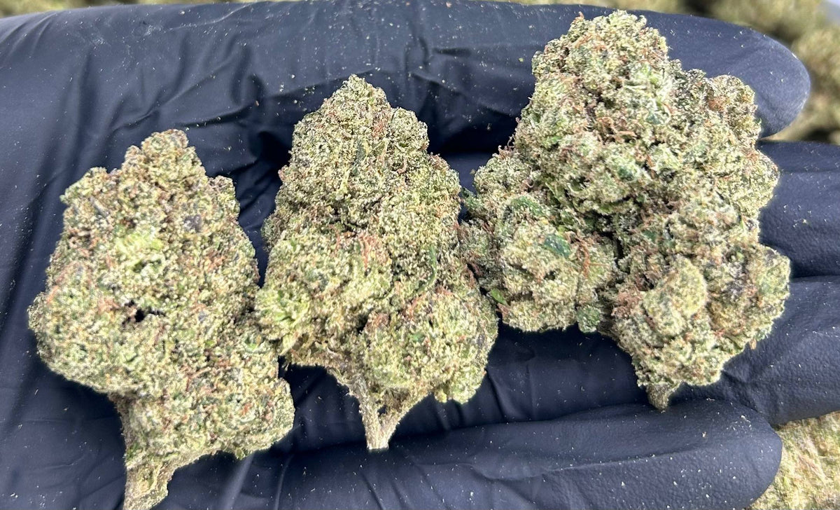 ZKITTLE CANDY #ZUP4640