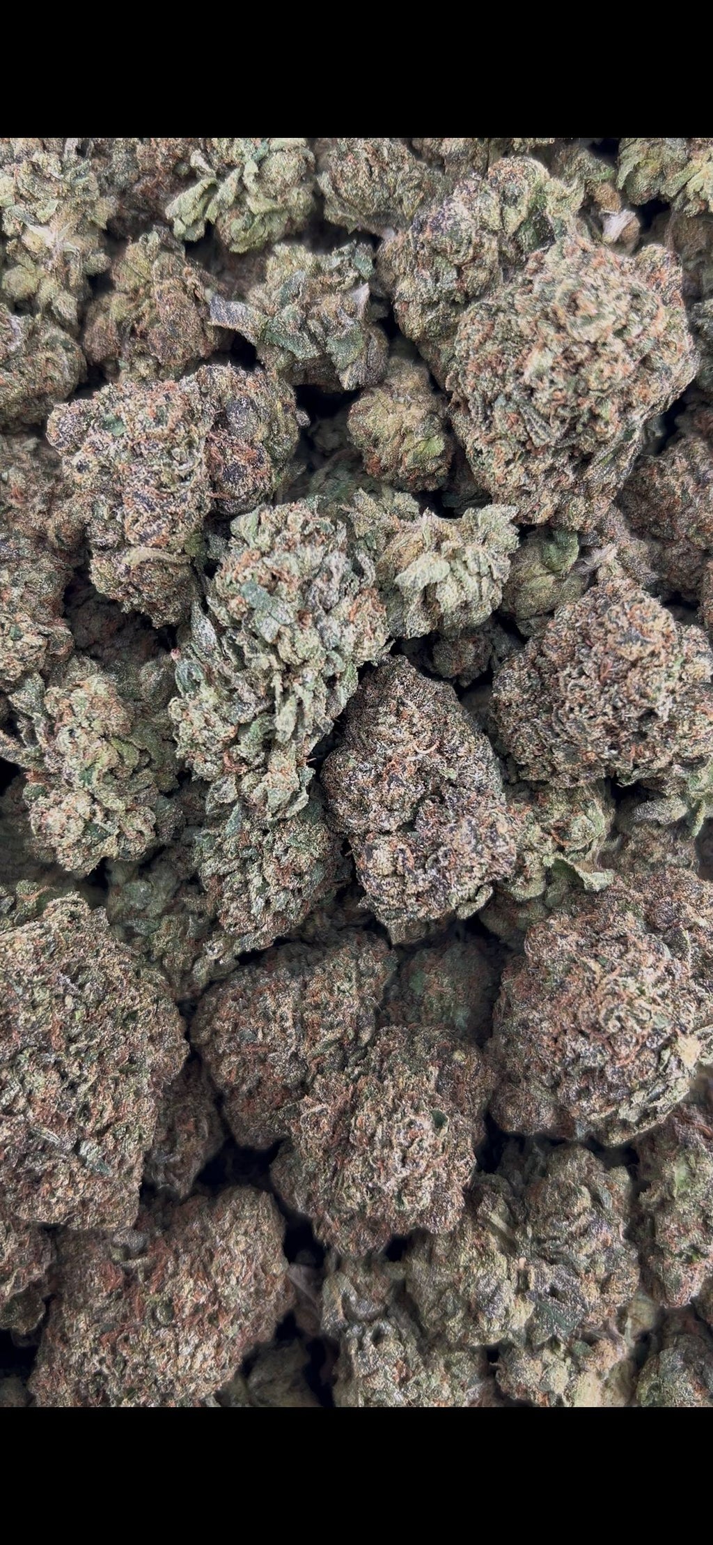 FROSTED CHERRIES #ZUP4642