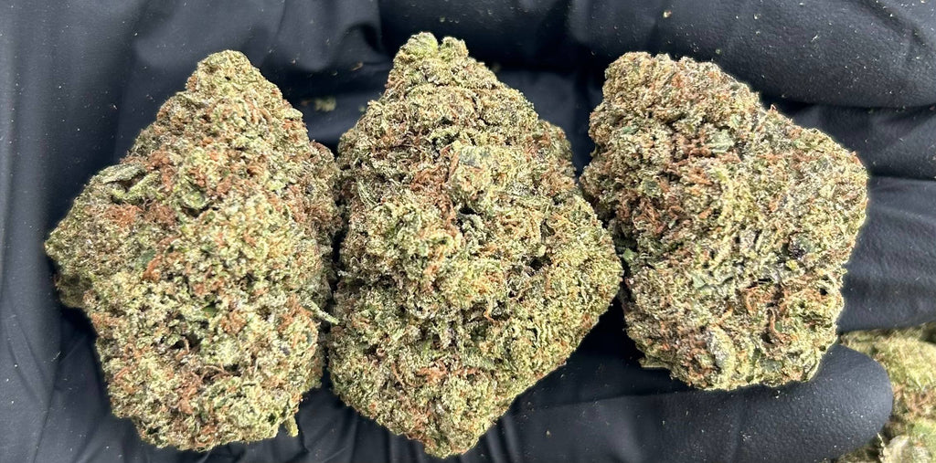 FROSTED CHERRIES #ZUP4642