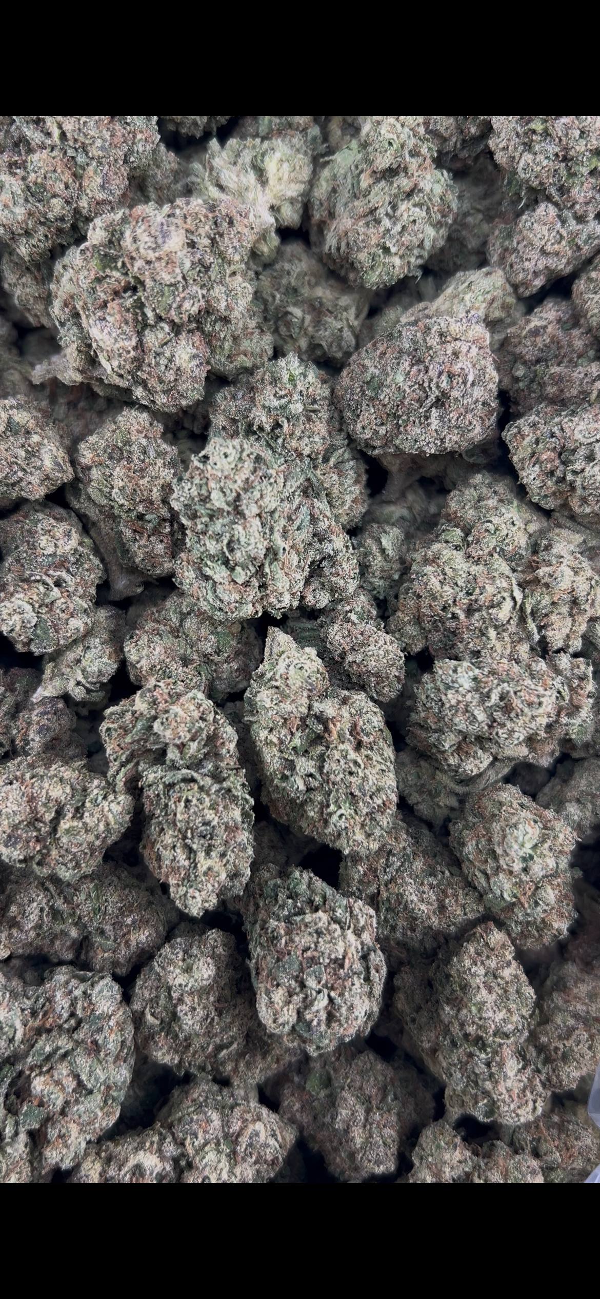 ALIEN CANDY #ZUP4643