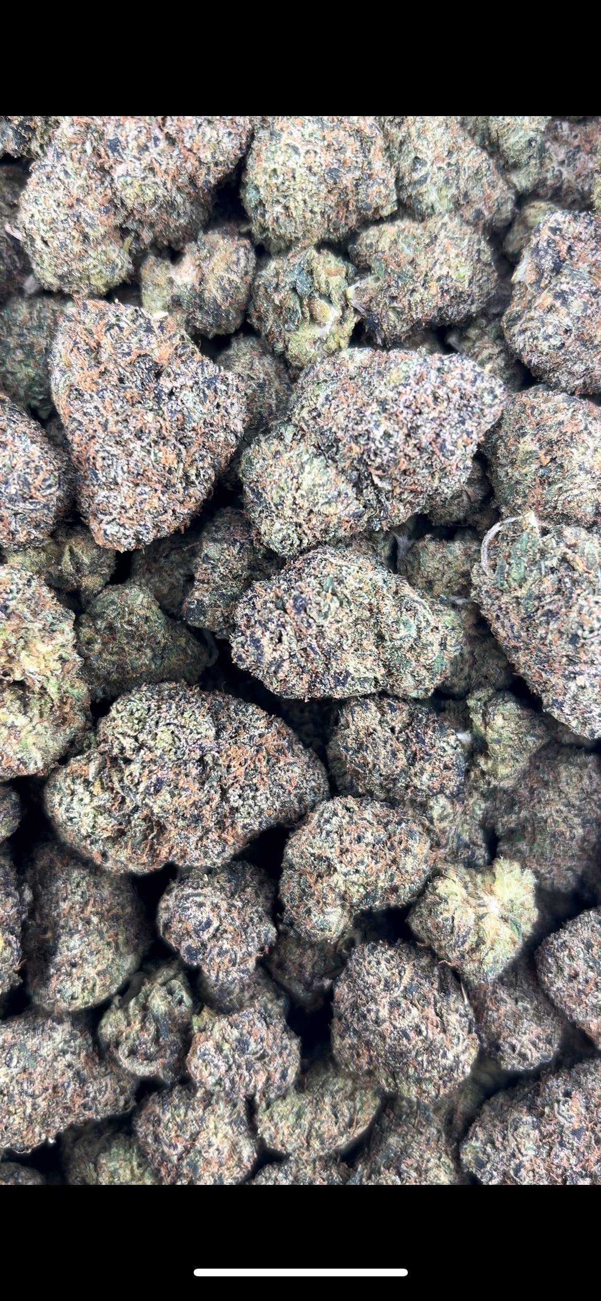 CHERRYLICIOUS #ZUP4653