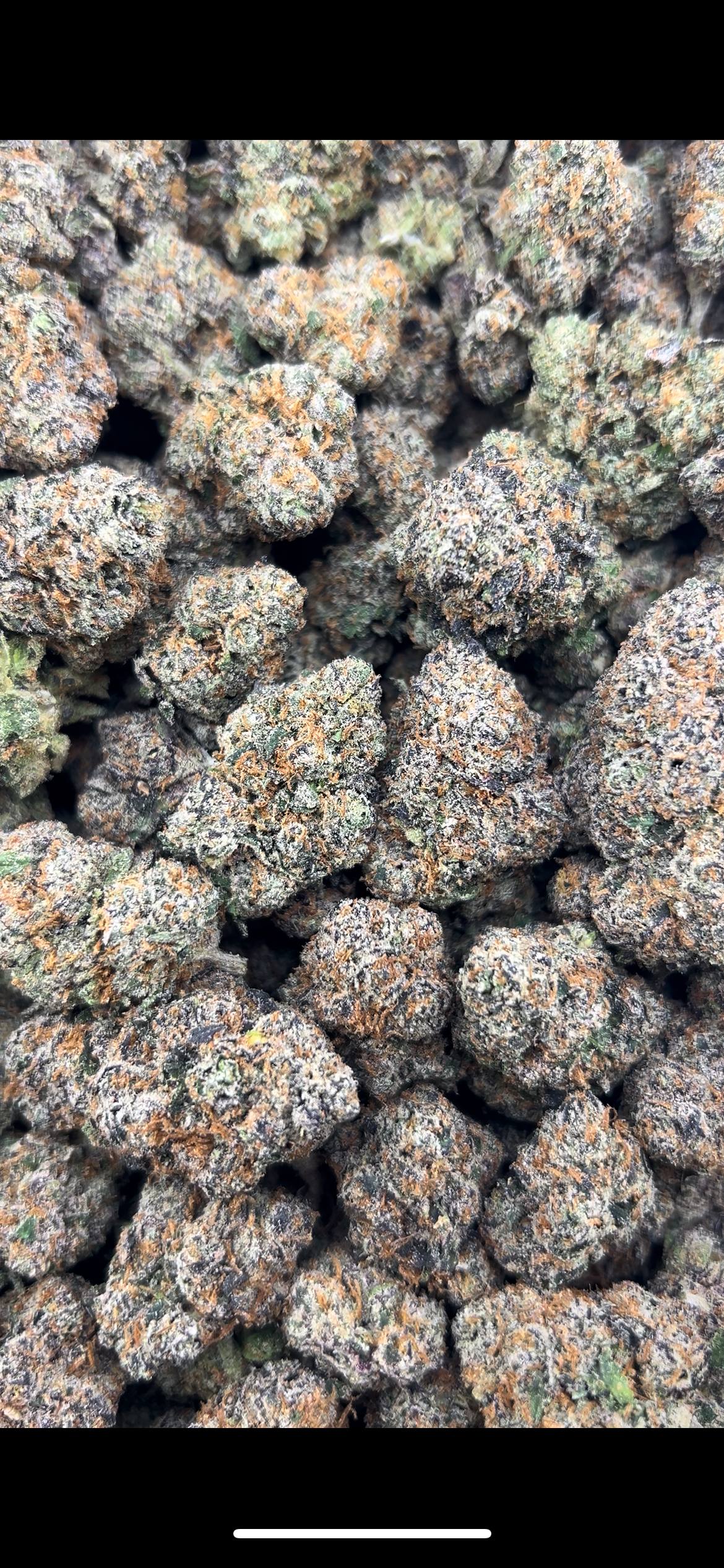 COSMIC CANDY #ZUP4661