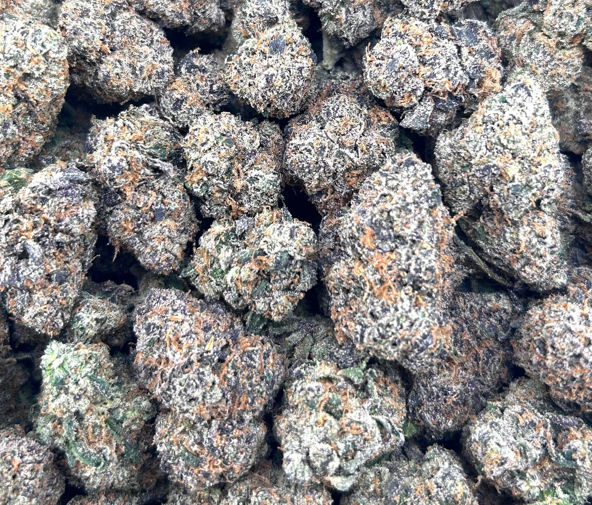 GLACIER CANDY #ZUP4662