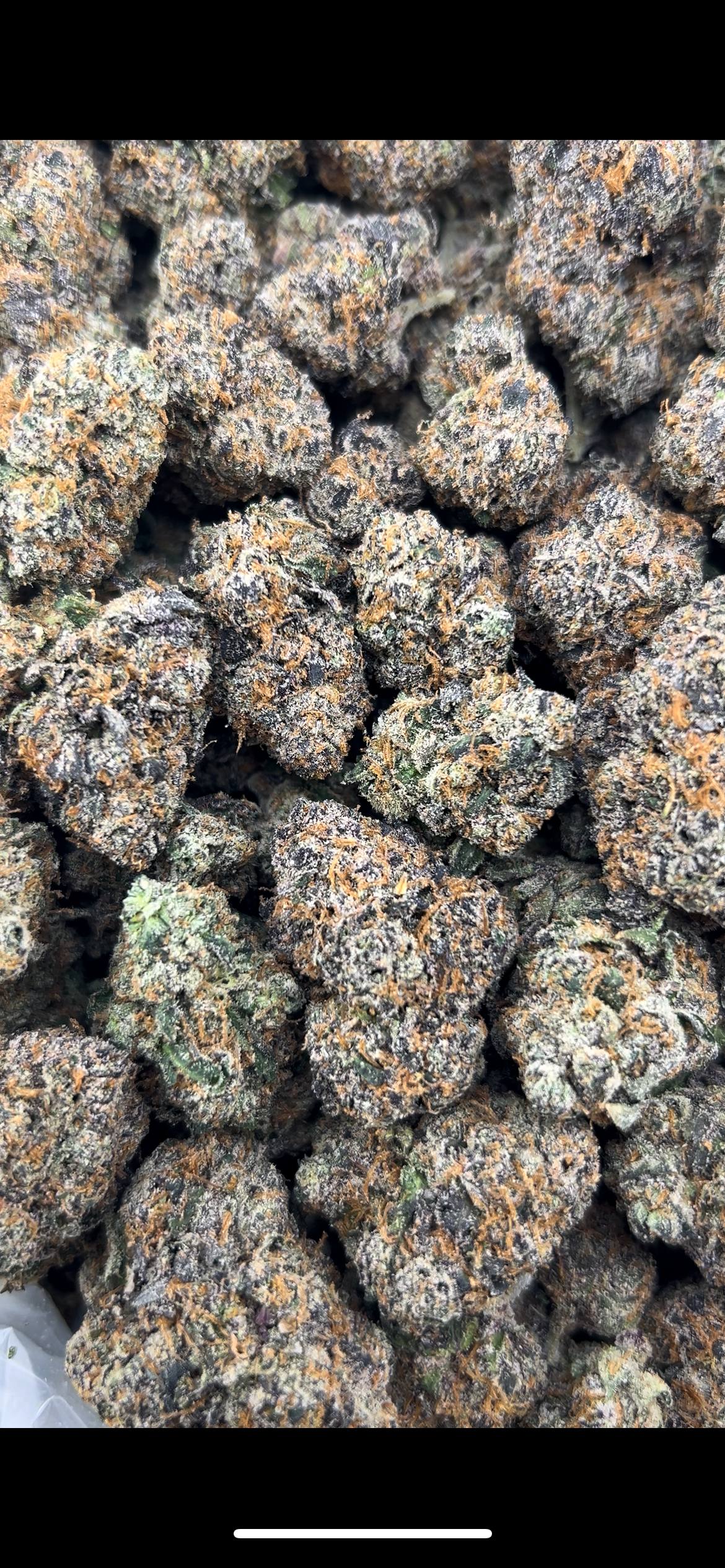 GLACIER CANDY #ZUP4662