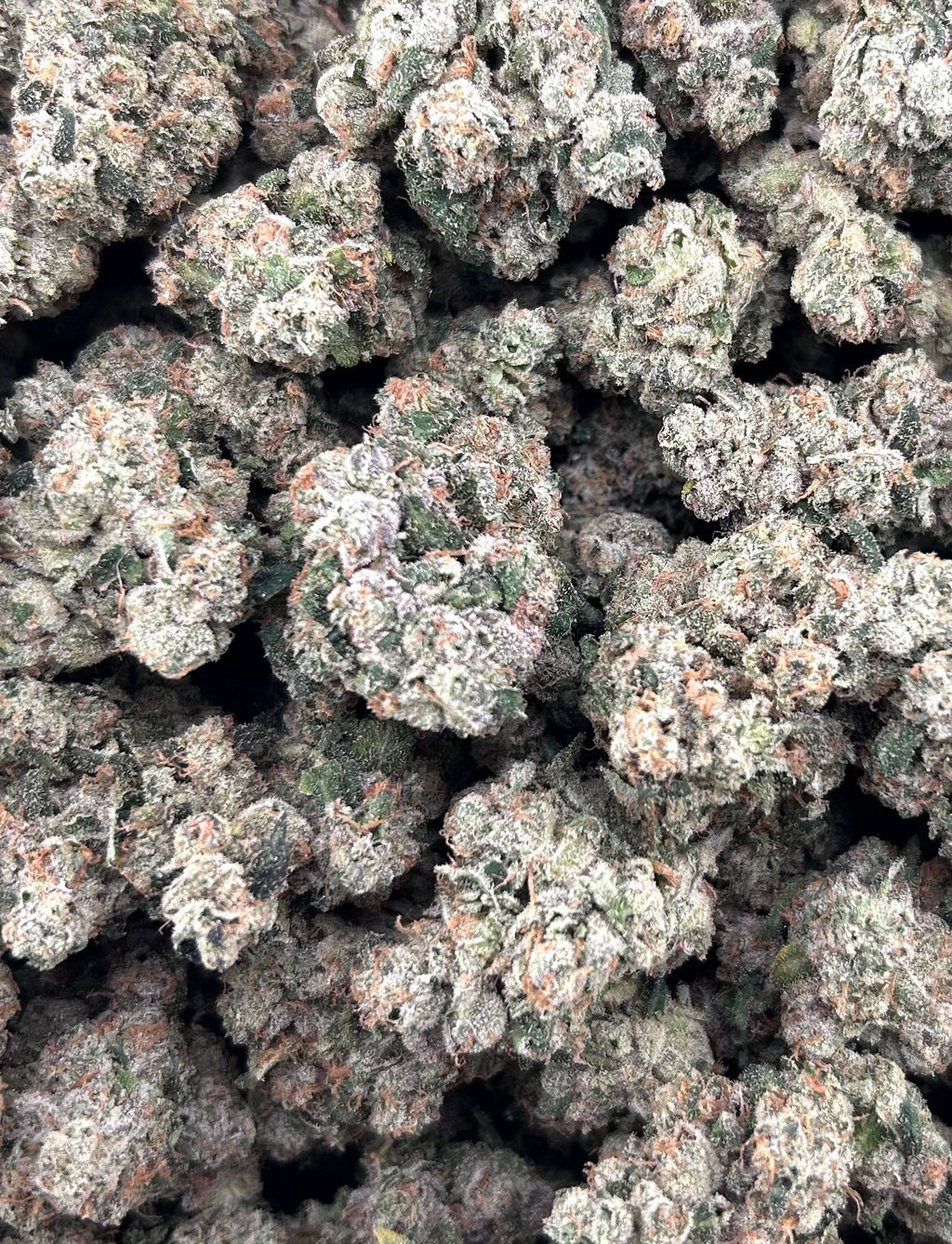 TOPANGA CANYON OG #ZUP4681