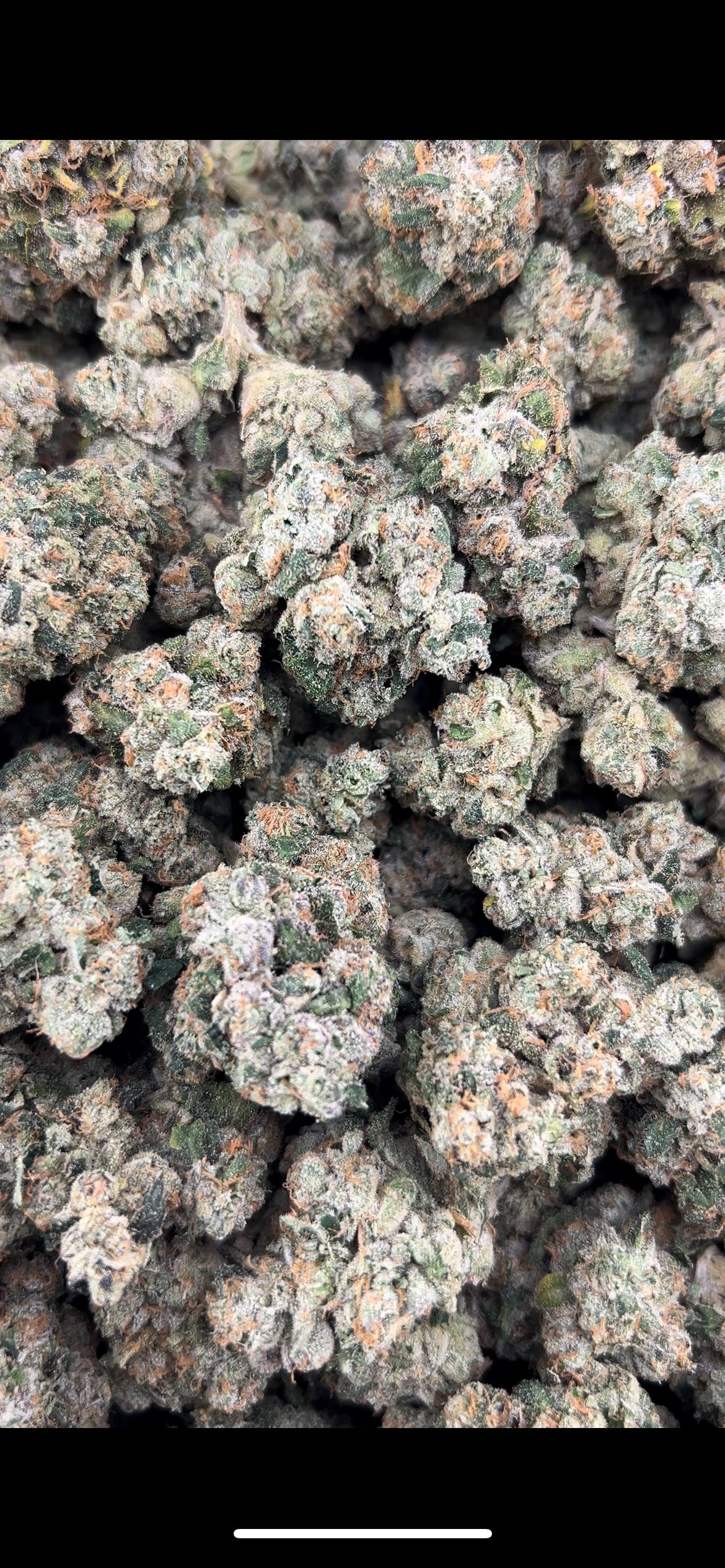 TOPANGA CANYON OG #ZUP4681