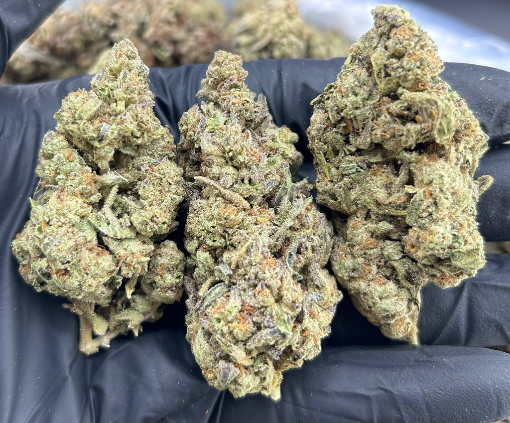 FORBIDDEN FRUIT #ZUP4683