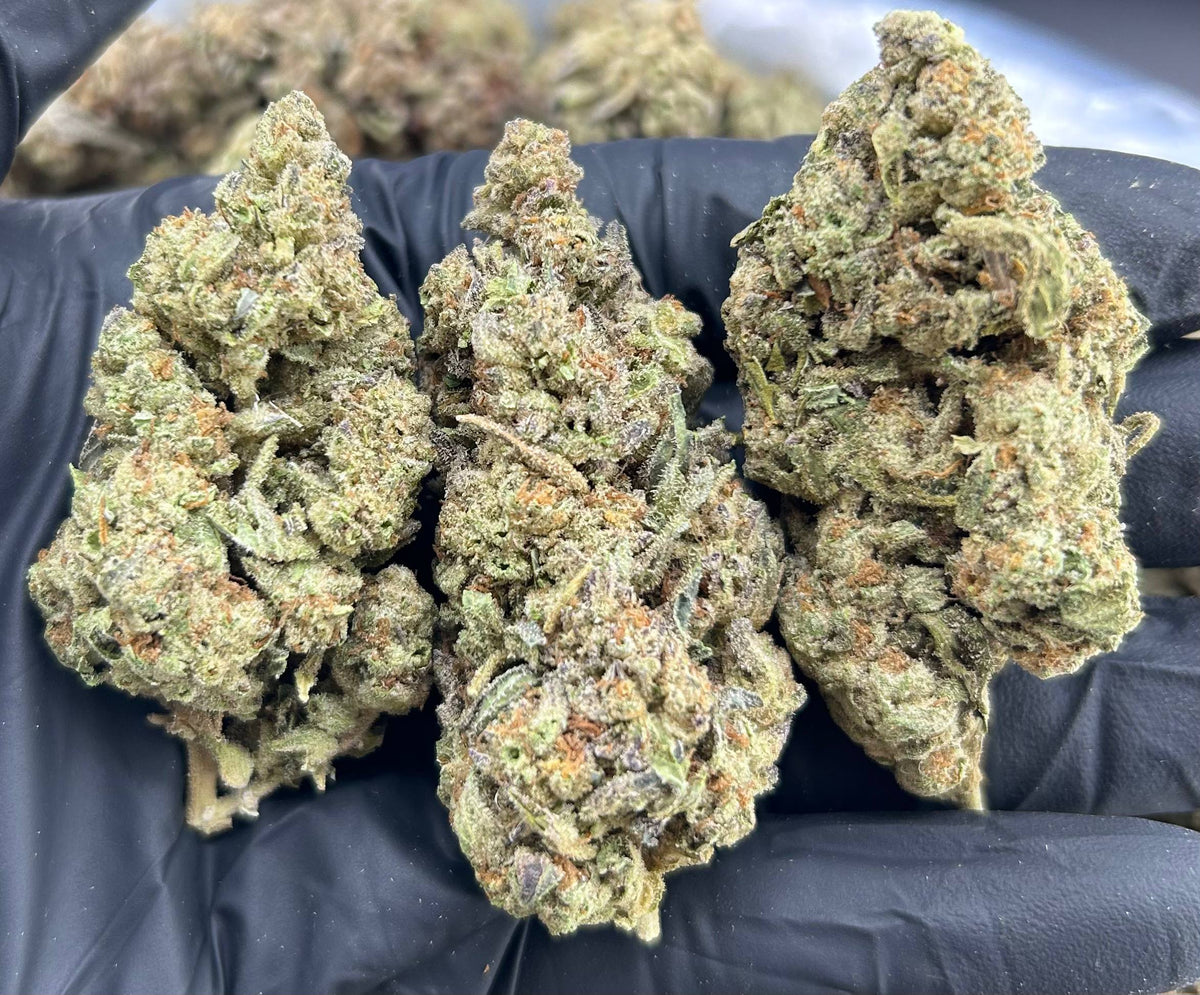 FORBIDDEN FRUIT #ZUP4683