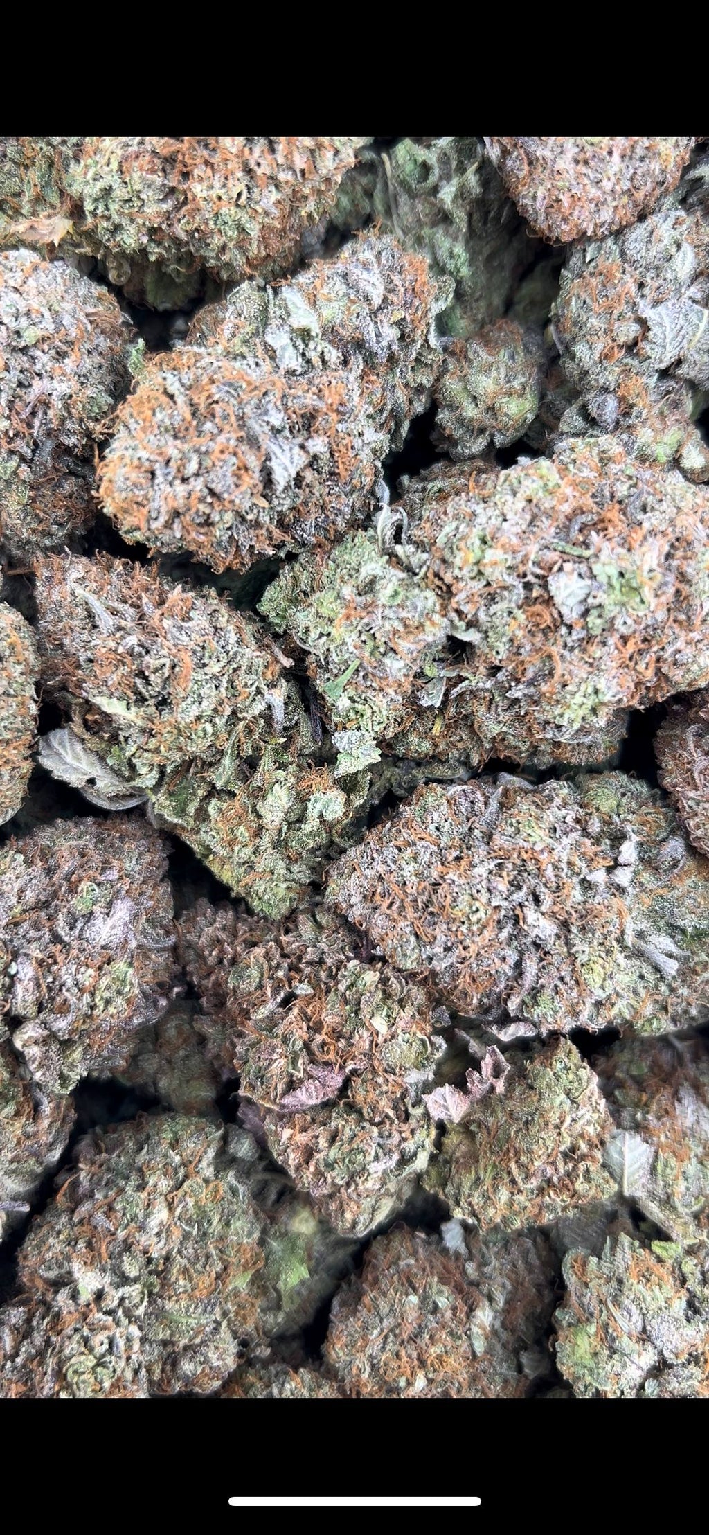 PLATINUM OG #ZUP4684