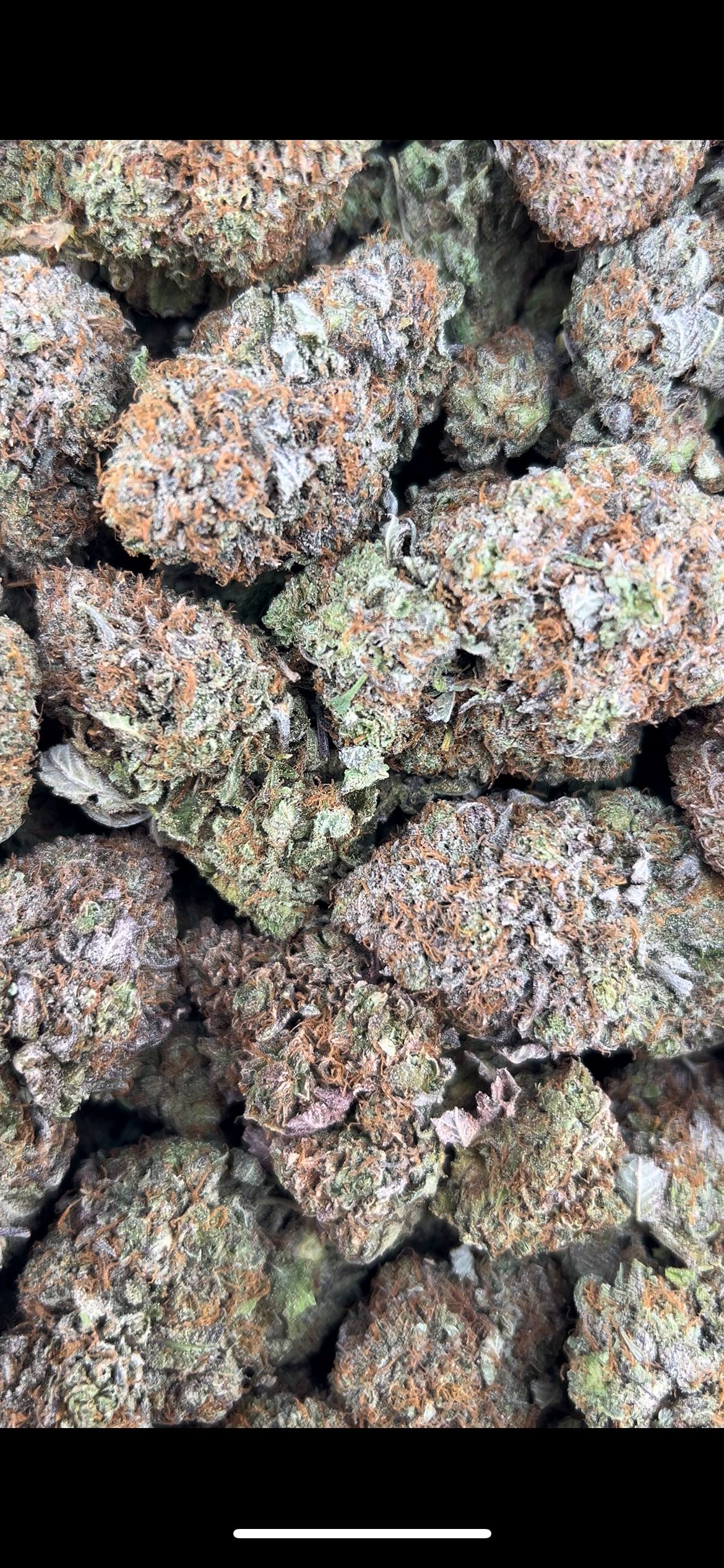 PLATINUM OG #ZUP4684
