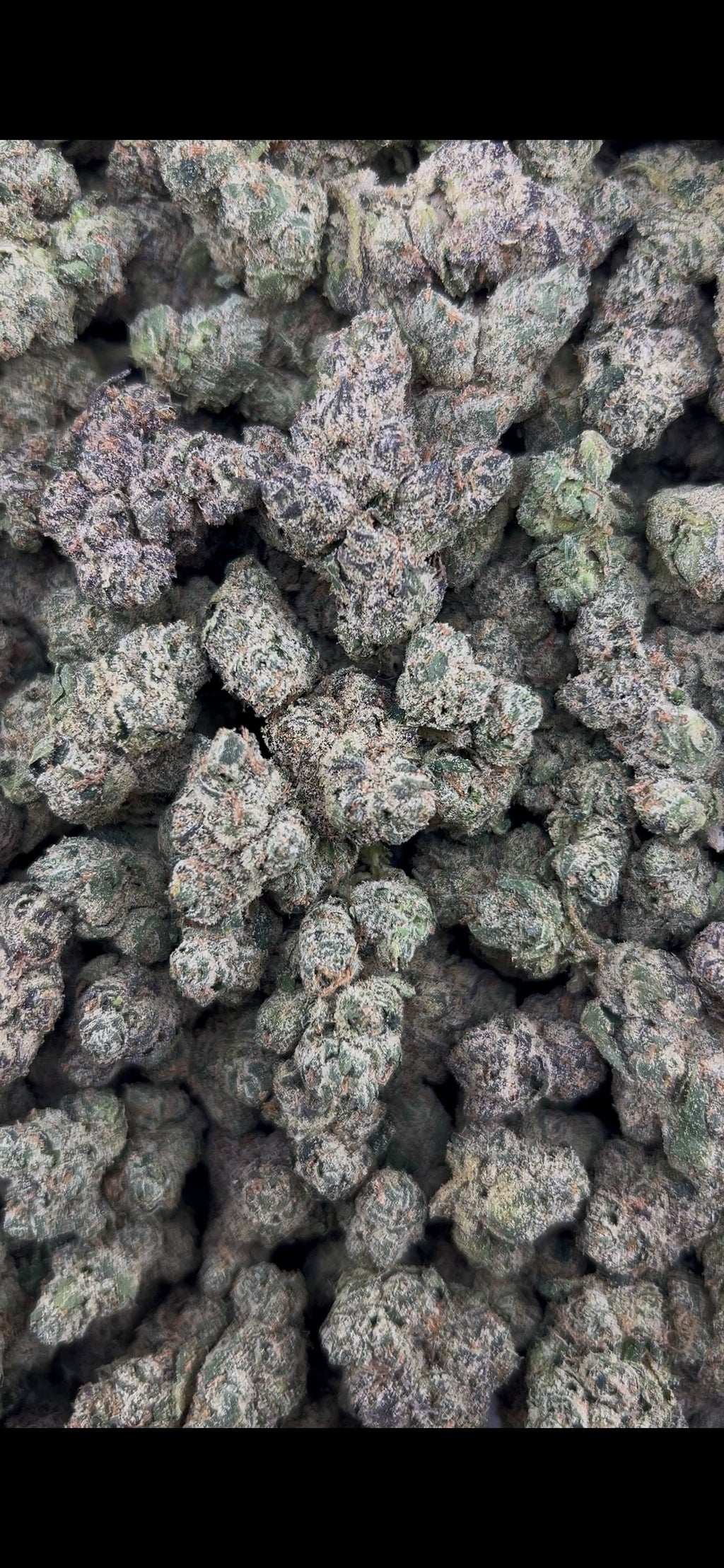 BLACK CHERRY GELATO #ZUP4691