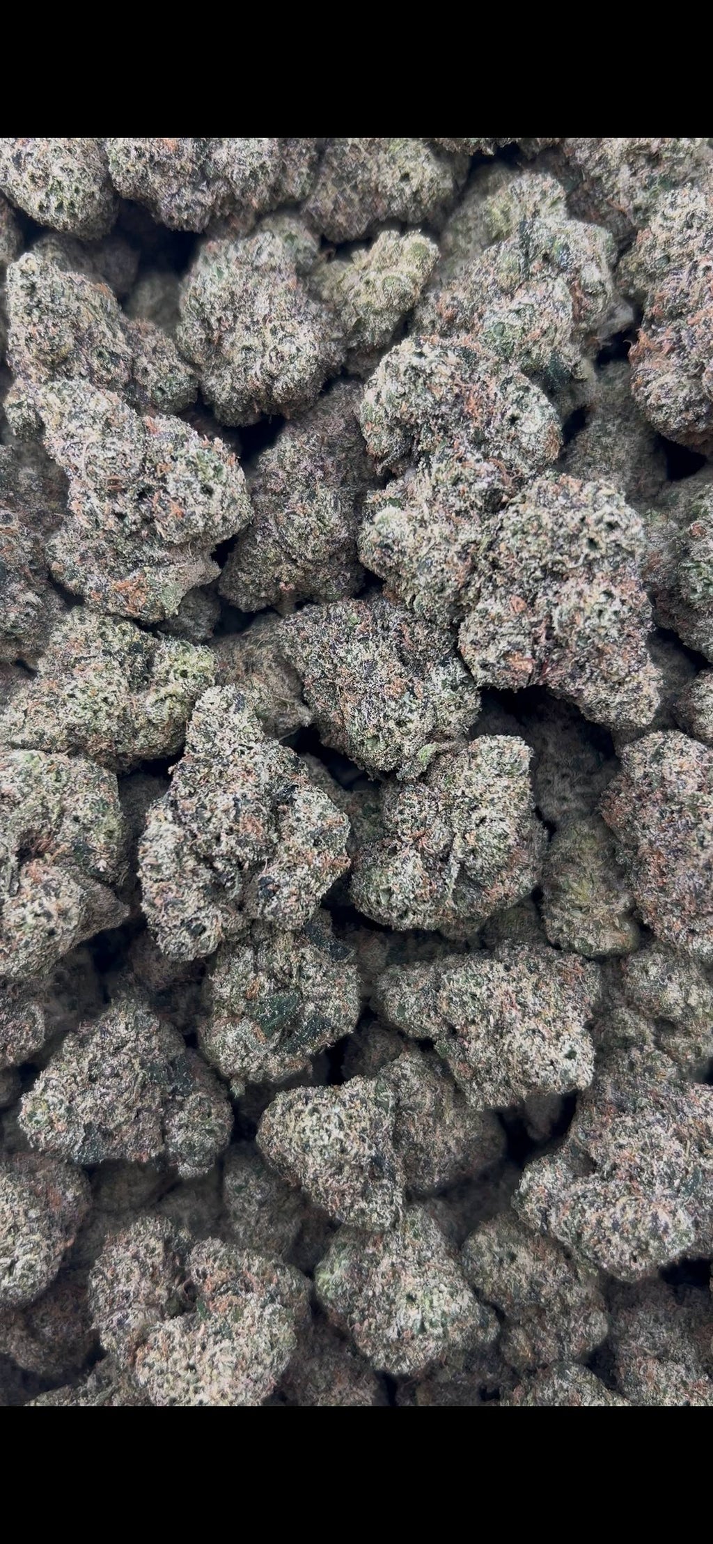 CHERRY ECLIPSE #ZUP4695