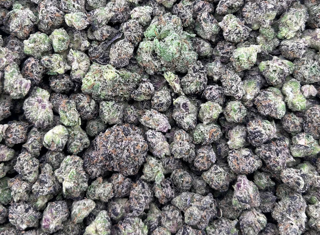 BLUEBERRY NOIR #ZUP4712