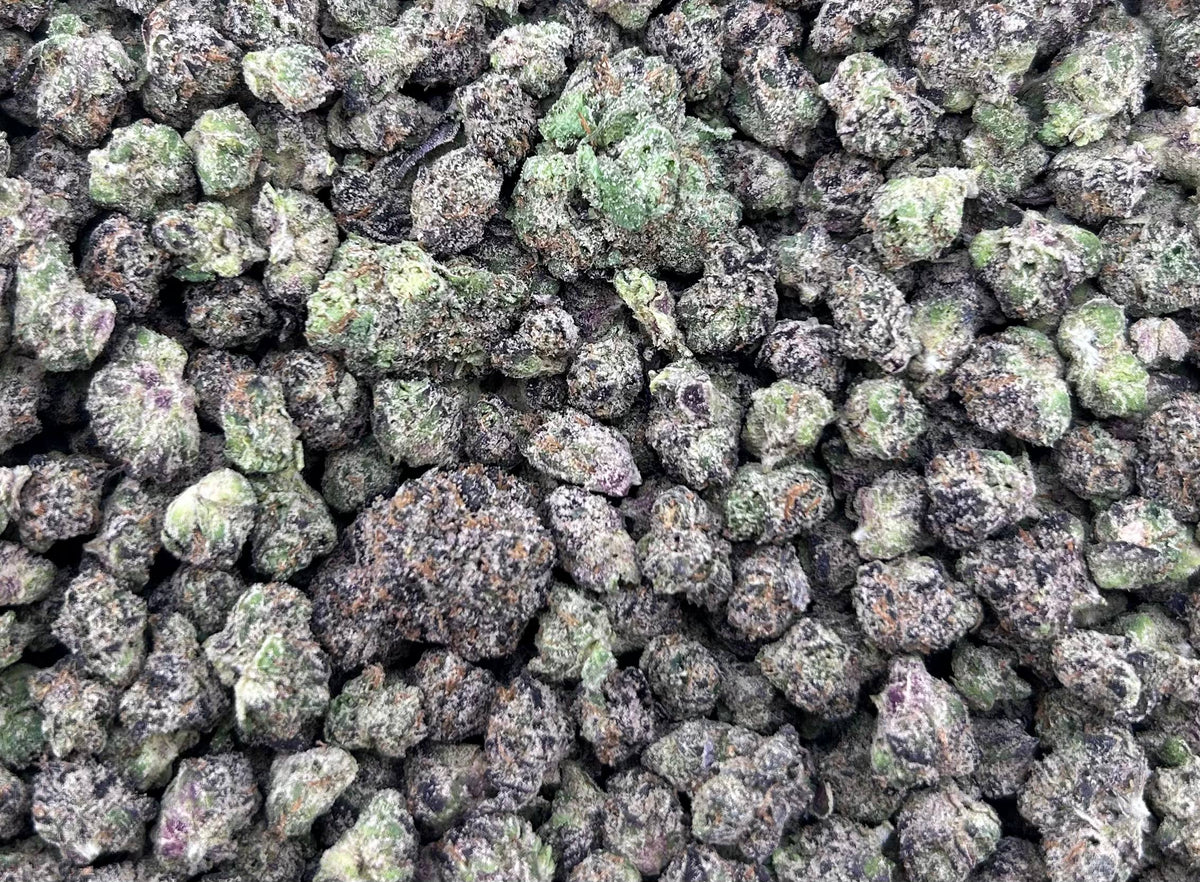 BLUEBERRY NOIR #ZUP4712