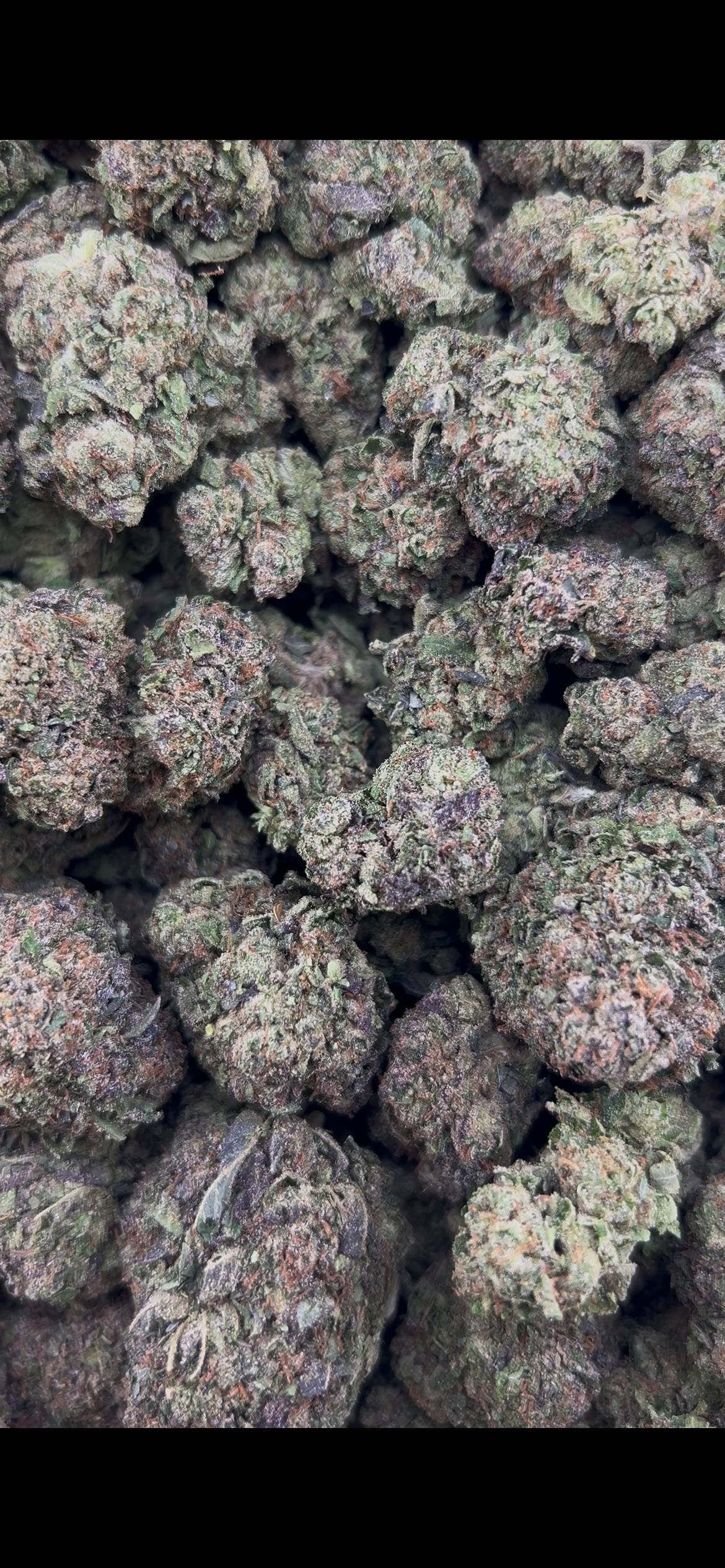 BLUEBERRY SCHNOPZ #ZUP4717