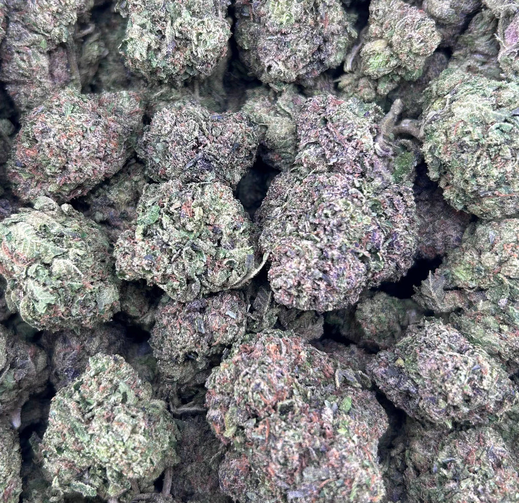 CANDY EUPHORIA #ZUP4719