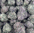 CANDY EUPHORIA #ZUP4719